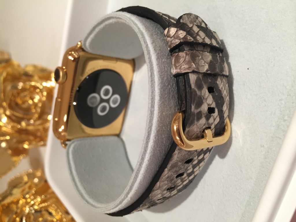 Apple iWatch python