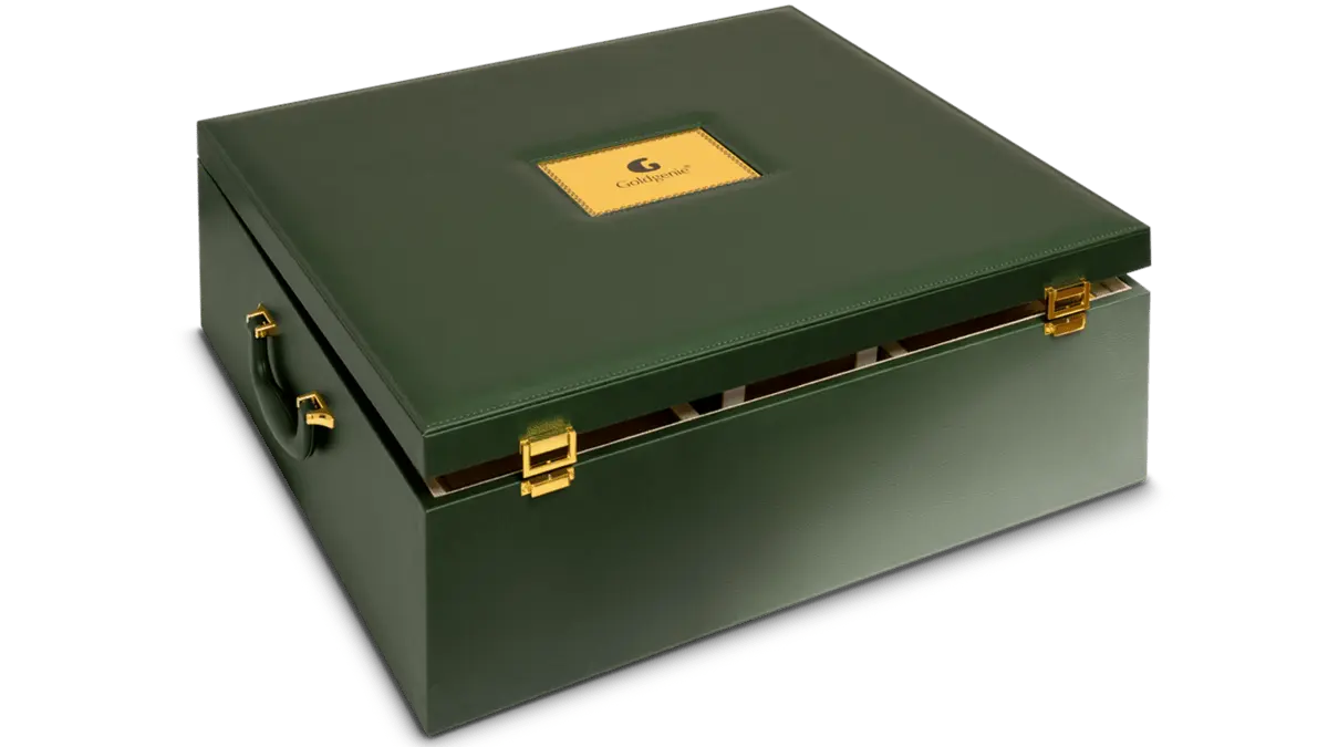 Goldgenie Master Franchise Launch Package showing onboarding, training, technology and business support.