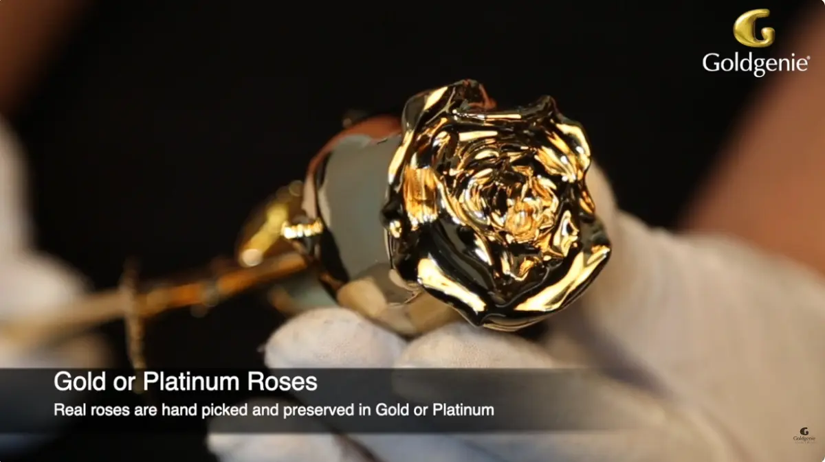 History of gold roses in luxury gifting 24K gold rose by Goldgenie