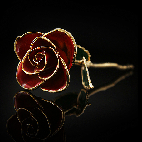 Gold Trimmed Red Rose