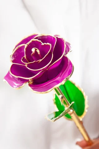 24k Gold Fuchsia Rose