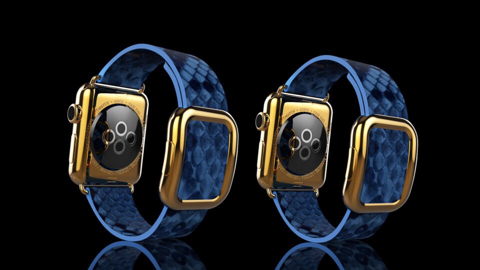 Gold Apple-Watch-5-Blue Python-Back