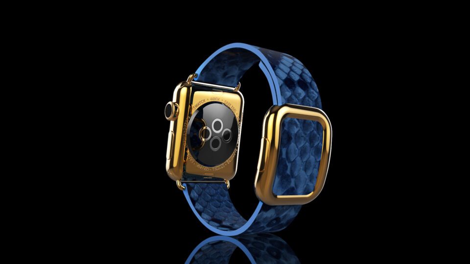 Gold Apple-Watch-5-Blue Python-Back