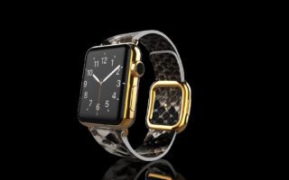 Gold Apple-Watch-5-Natural Python-Focus