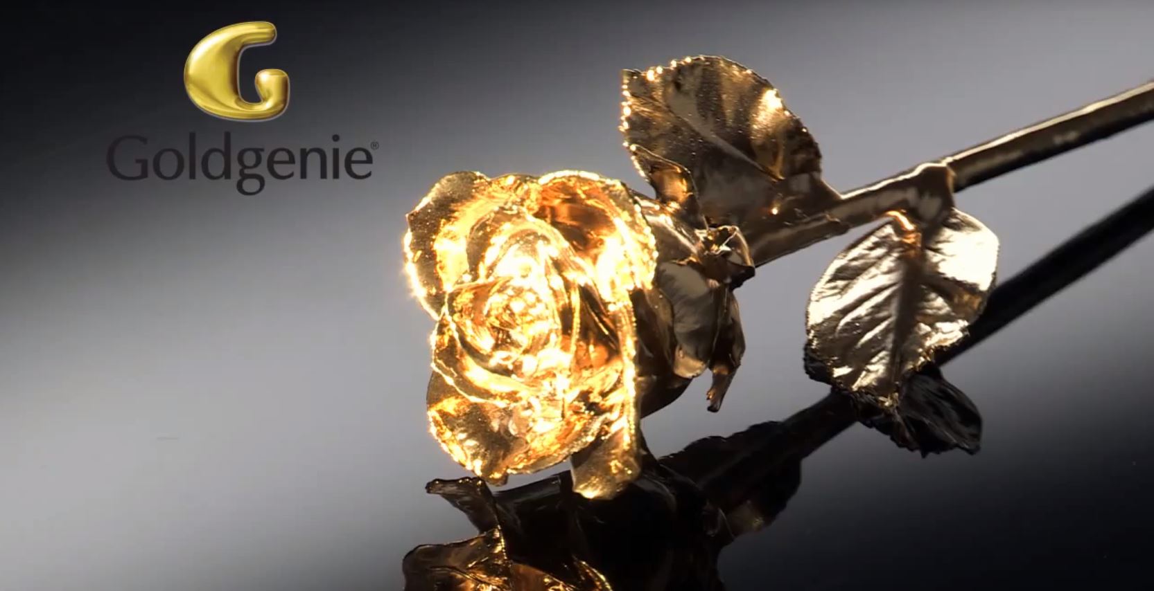 2014 – Trademark office video featuring Goldgenie