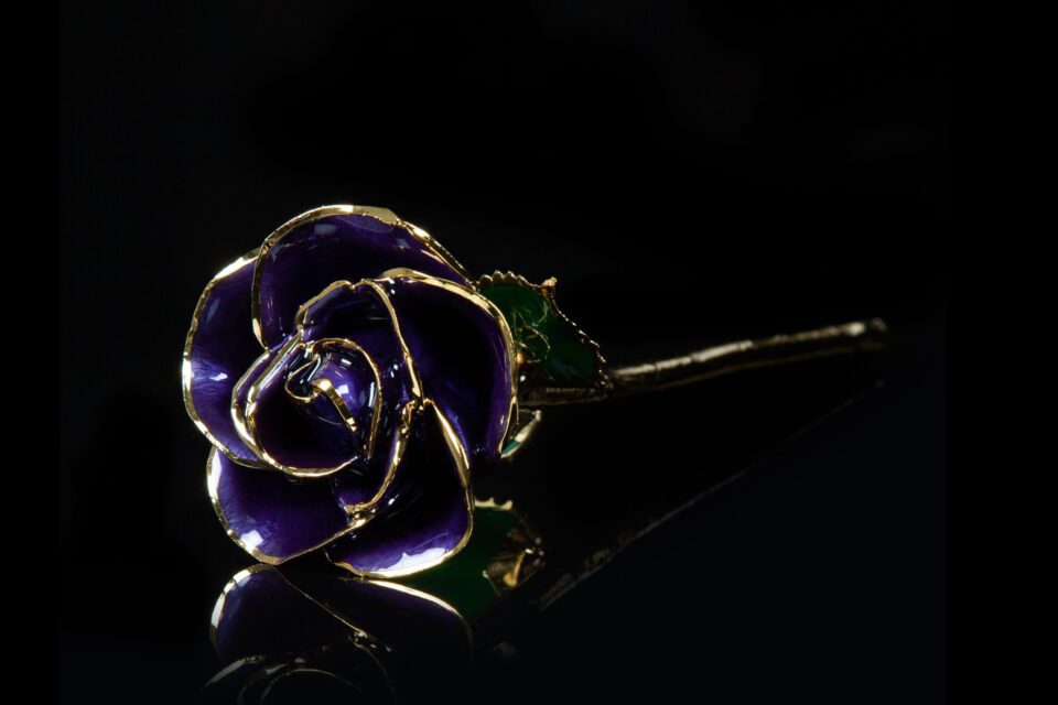 24K Gold Purple Rose