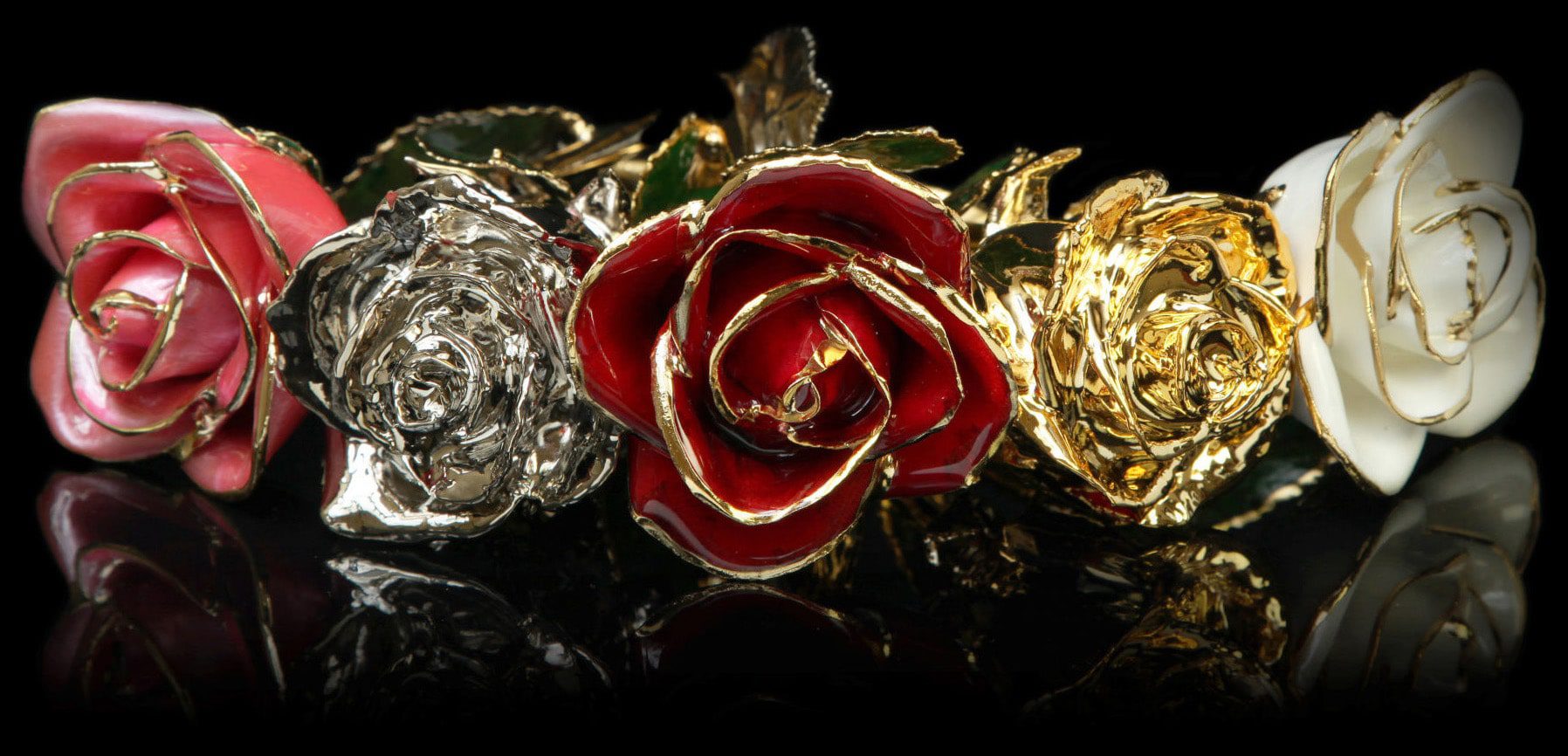 24K Gold Roses