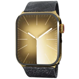 Gold Apple Watch 9 with Black Python Strap