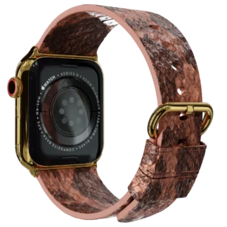 Gold Apple Watch 9 with Brown Python Strap