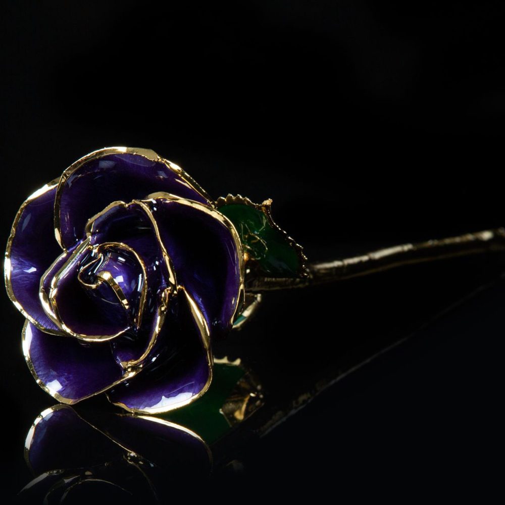 24K Gold Purple Rose